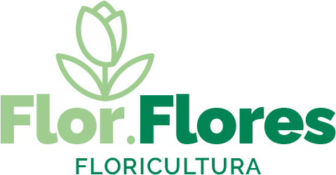 Flor Flores Floricultura